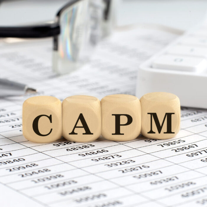 CAPMとは？CAPM計算式やWACCも求める方法、注意点など解説